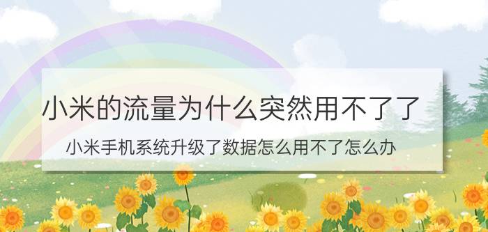 小米的流量为什么突然用不了了 小米手机系统升级了数据怎么用不了怎么办？